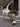 Men Olive Green Regular Fit Elasticated Casual Trousers