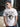 Men White Graphic Print T Shirt