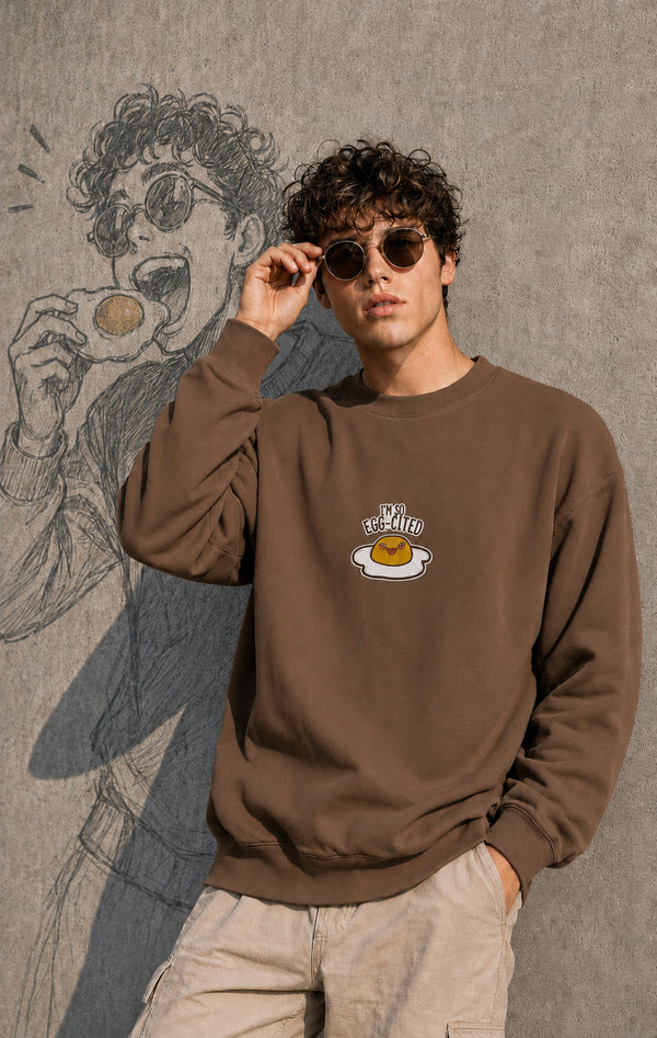 Men Relaxed Brown Embroidered Sweatshirt