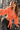 Women Regular Fit Cropped Casual Wrap On Top