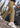 Women lightweight Cargo Trousers with Elasticated waistband