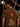 Men Brown Graphic Regular Half Sleeves T-Shirt