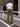 Men Olive Green Regular Fit Elasticated Casual Trousers