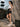 Women Black Solid Relaxed Fit Short