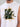 Men White Sleeveless Graphic Print Oversize T Shirt