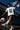 Men White Graphic Regular Half sleeves T-Shirt
